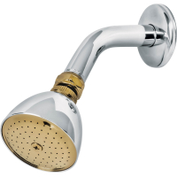 Roseta Ducha Brazo Acero Cromado FOSET R-509G