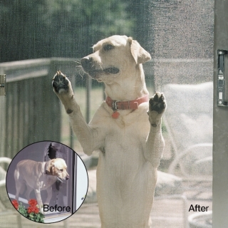 Tejido Mosquitero Resistente Perros Gatos Petscreen Phifer