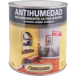 Pintura Antihumedad Pennsylvania 1lt