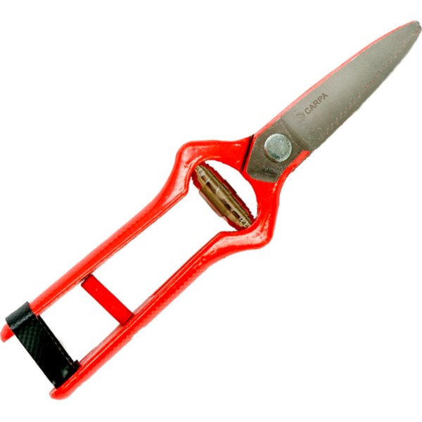 Tijera Podar Vendimia Cosecha 19cm Carpa 02A19V
