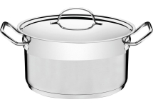 Olla Acero Inox 20cm Tramontina Professional 62624/200