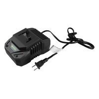 Cargador 20 V 4 Ah Forest & Garden CHF20-4