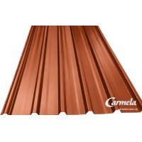Chapas Econopanel Color Ñandú ARMCO