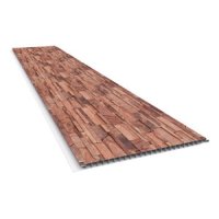 Tablilla PVC Piedra Petri Ferruge