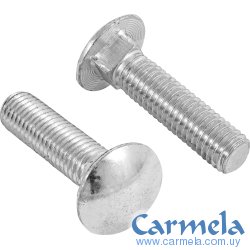 Bulón Para Madera 1/2'' X 2 1/2'' Fiero TORC-1/2X2-1/2 Bolsa x 20