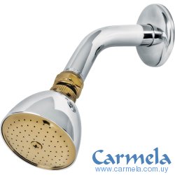 Roseta Ducha Brazo Acero Cromado FOSET R-509G