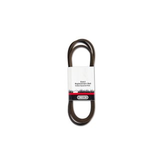Correa MTD 5/8 x 60-1/4'' Oregon 75-159