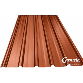Chapas Econopanel Color Ñandú ARMCO